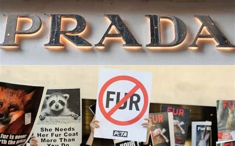 Prada dice stop alle pellicce animali 